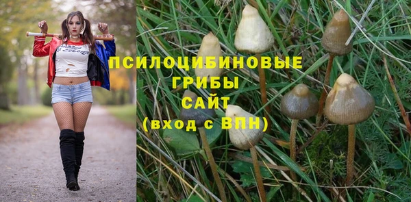 синтетический гашиш Алексин