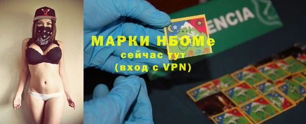 эйфоретик Алзамай