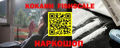 гашик Кунгур