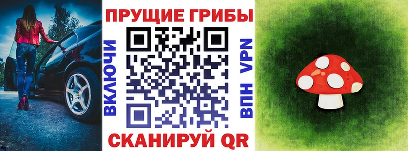 Псилоцибиновые грибы Cubensis  блэк спрут tor  Карпинск 