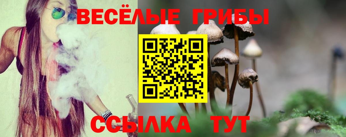 Псилоцибиновые грибы Psilocybe Карпинск